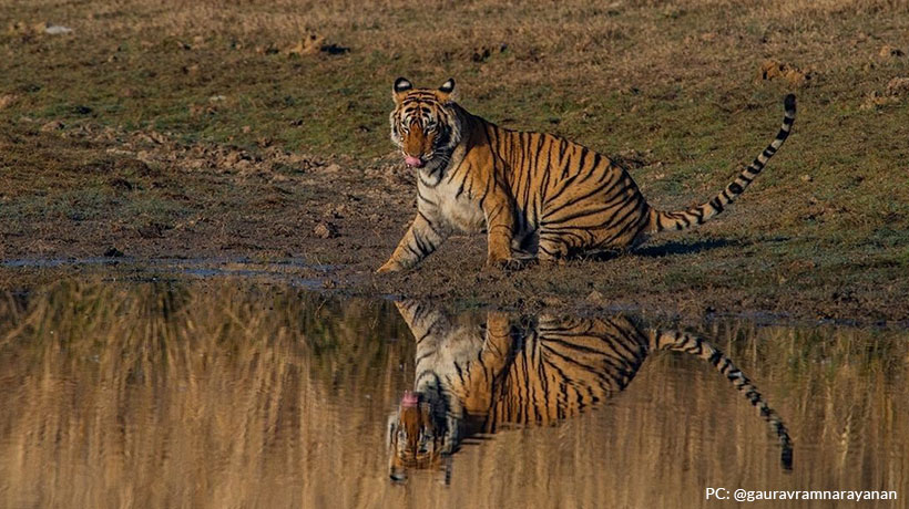 ranthambore-national-park